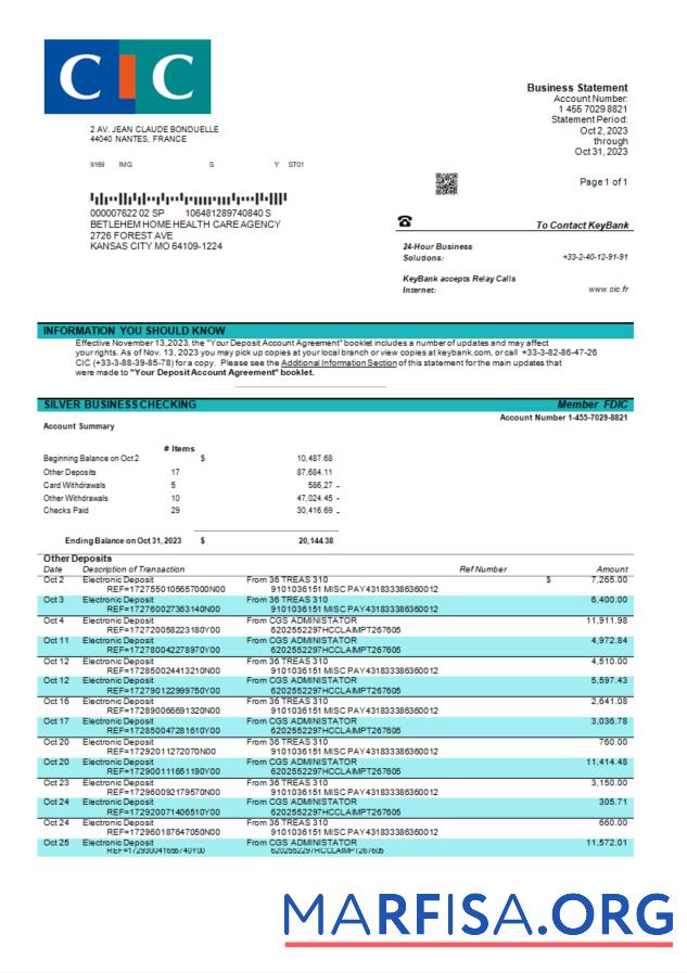 Printable CIC Bank enterprise statement Word and PDF template